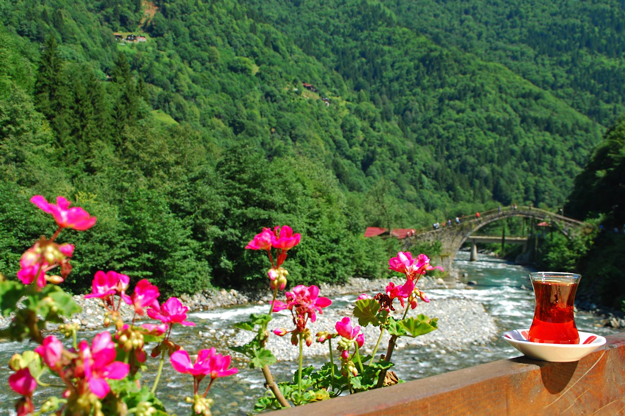 Denizli Çıkışlı Turlar Ile Karadeniz Bölgesini Keşfedin