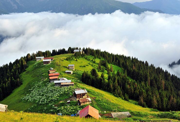 AYDER KARDAN ADAM FESTİVALİ
