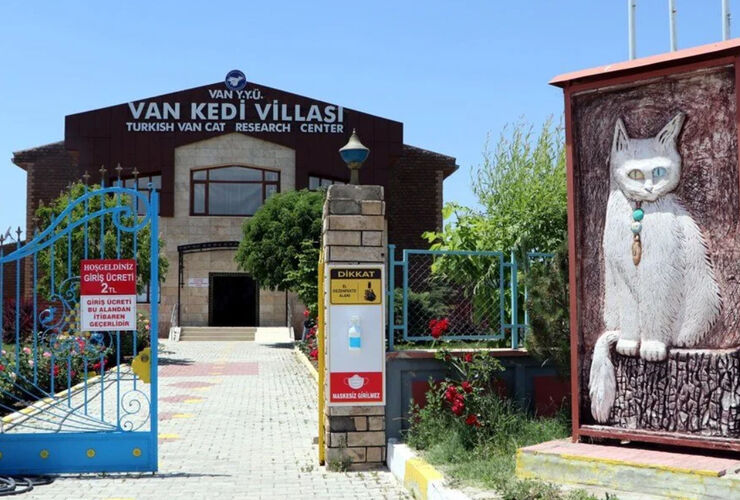 Aydın Çıkışlı Uçaklı Gürcistan-Doğu Anadolu Turu