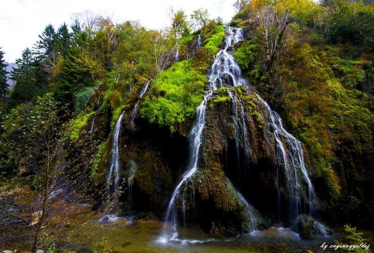 Denizli Çıkışlı Elit Karadeniz Turu