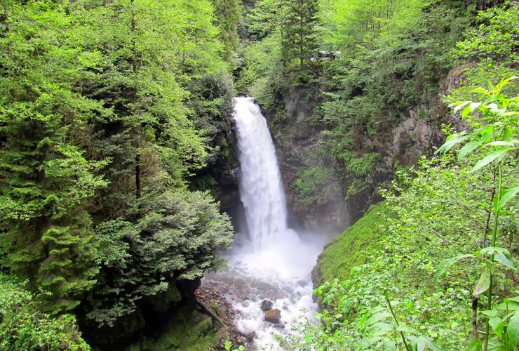 Denizli Çıkışlı Elit Karadeniz Turu