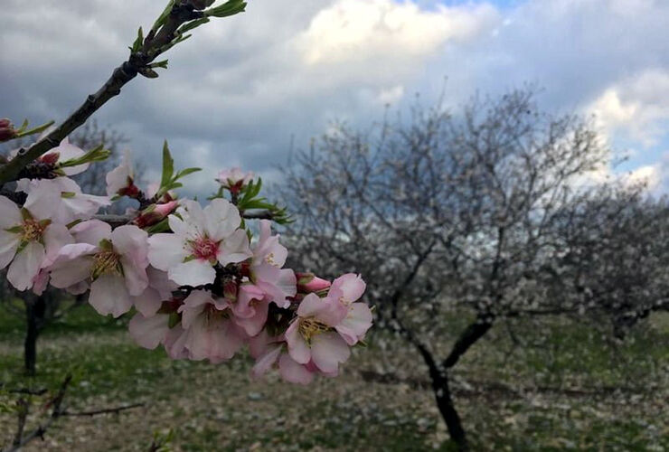 Denizli Çıkışlı Eski Datça Turu